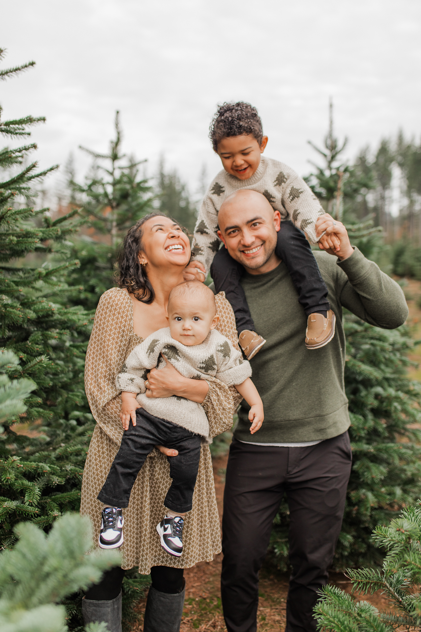 Tree Farm Mini Photo Session in Vancouver WA by Lena Sophia Photography