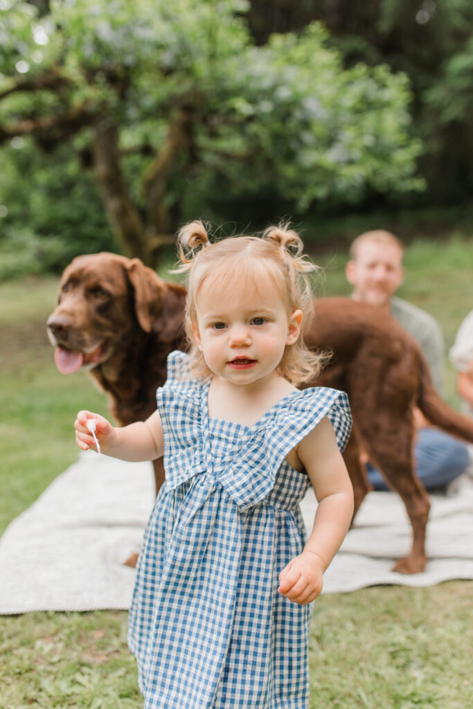 backyard family photos featuring a toddler girl blowing bubbles and her pup in the background