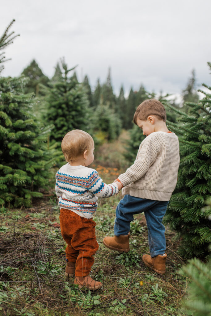 Brothers hold hands at their Tree Farm Family Photos Near Vancouver WA
