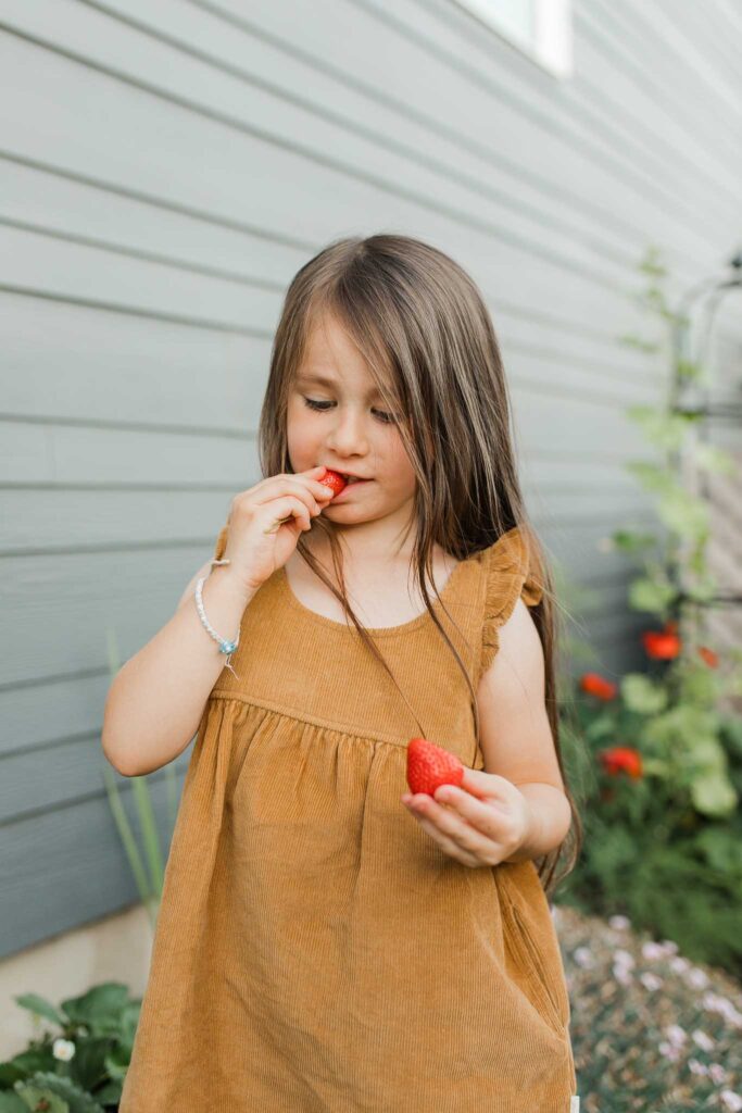 Backyard family photo in Vancouver WA of children harvesting strawberries and tomatoes with parents.