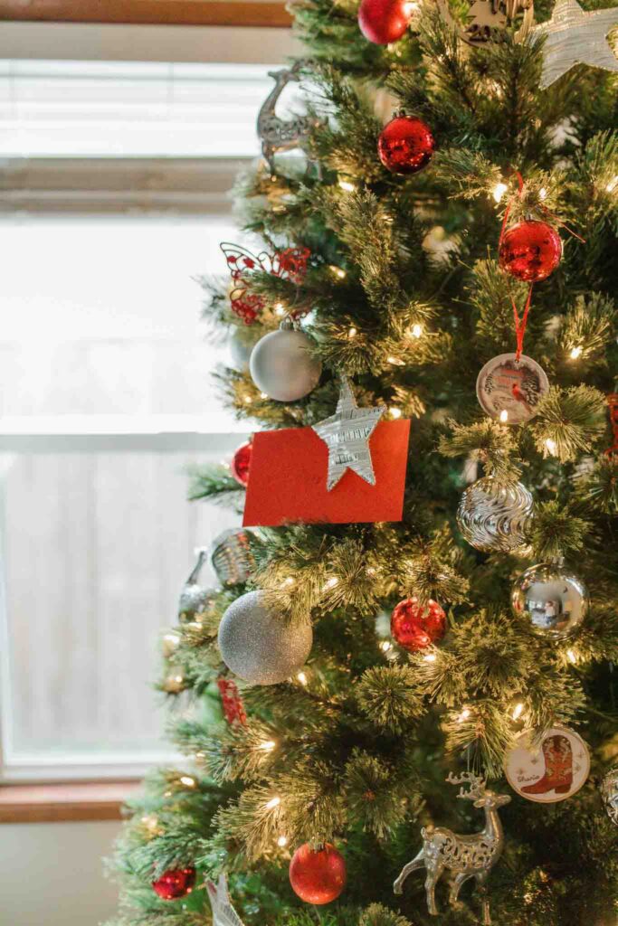 First Christmas newborn photos at home in Camas WA