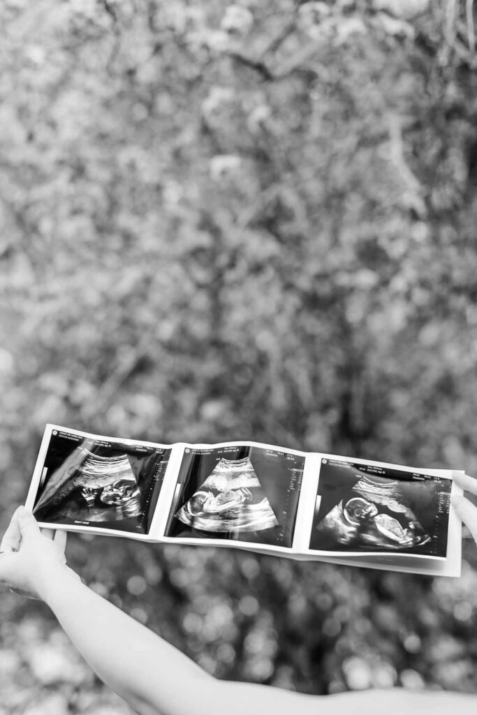 gender reveal maternity photography Portland area
