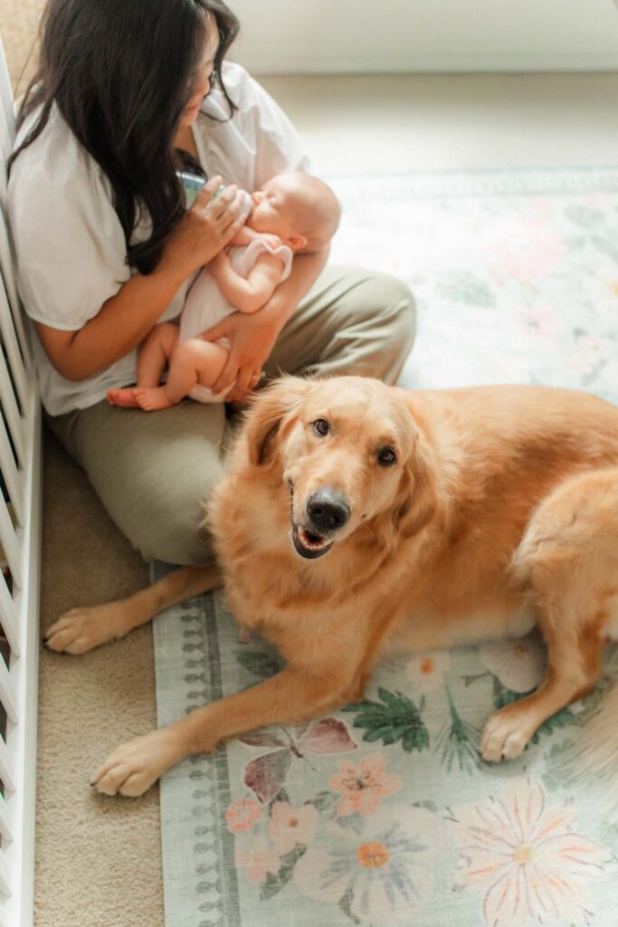 Family dog staying close by at bottle feeding time during in-home session with a Washougal WA newborn photographer